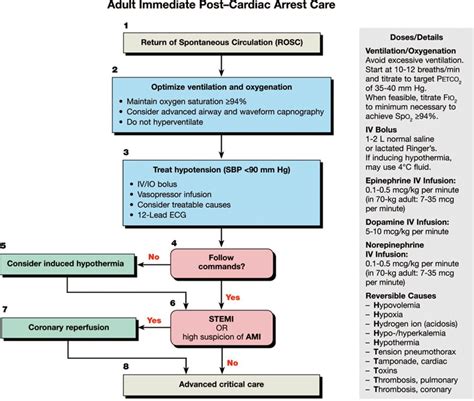 We continue this series by taking a look at our first acls algorithm, the cardiac arrest algorithm. American Heart Association post-cardiac arrest care ...