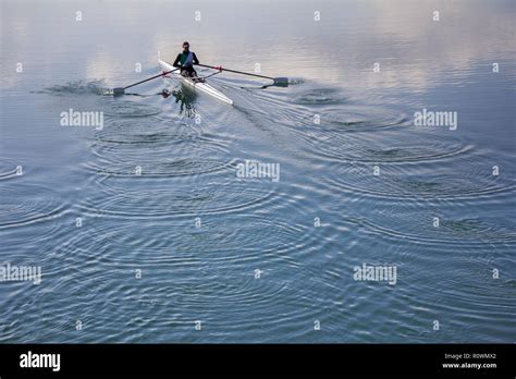 Single Scull Rowing Competitor Rowing Race One Rower Stock Photo Alamy