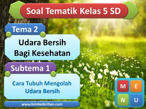 Dalam mengambil nafas ke dalam tubuh dan membuang napas ke udara dilakukan dengan dua cara pernapasan, yaitu normalnya manusia butuh kurang lebih 300 liter oksigen perhari. Power Point (PPT) Soal Tema 2 Kelas 5 SD Subtema 1 Cara ...