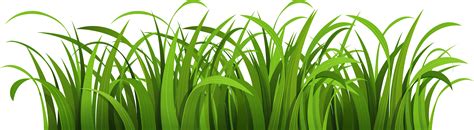Download Cartoon Grass Transparent Background Png Image With No