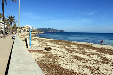 Strand Von Cala Millor Gibt Derzeit Kein Gutes Bild Ab