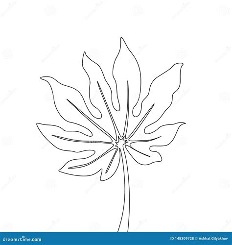 One Line Drawing Fatsia Japonica Continuous Line Exotic Tropical Plant
