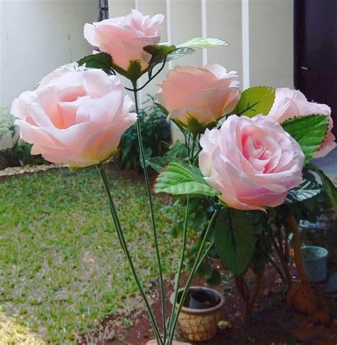 41 Setangkai Bunga Mawar Pink Gambar Bunga
