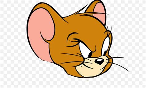 Jerry Mouse Tom Cat Nibbles Tom And Jerry Cartoon Png X Px