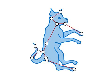 Canis Major Constellation Facts For Kids Dk Find Out