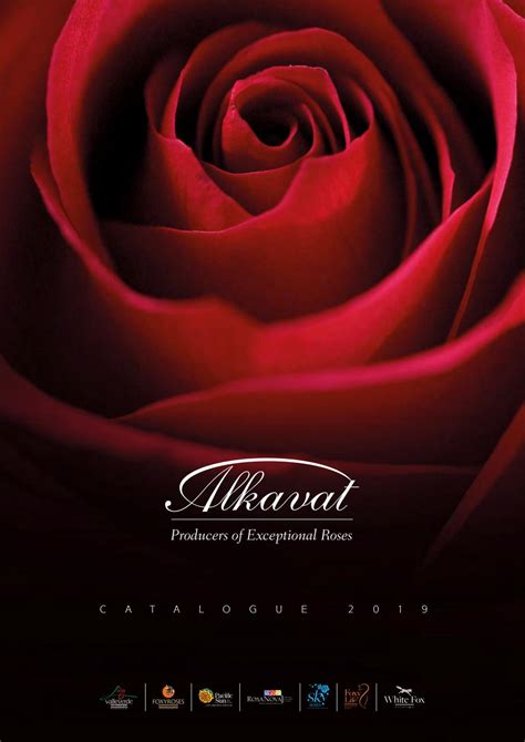 Alkavat 2019 Catalog by Alkavat - Issuu