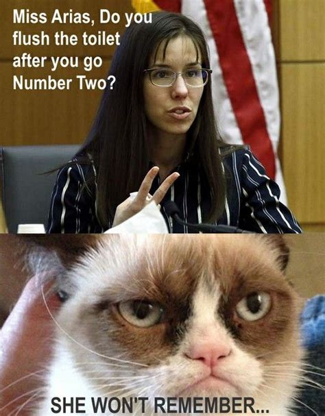 Jodi Arias Meets Grumpy Cat Funny Cat Faces Grumpy Cat Grumpy Face