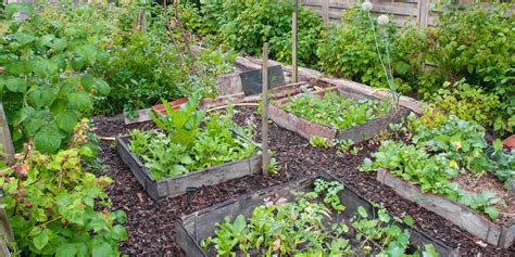Comment Faire Un Jardin Potager En Permaculture Marie Claire