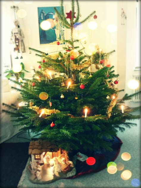 Traditional german zimtsterne cinnamon stars christmas cookies. German Christmas traditions - Living in Stuttgart