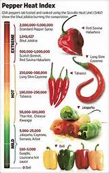Pictures of Types Of Chili Peppers And Their Heat Index