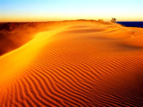 20 Sahara Wallpapers Hd Download Free Backgrounds