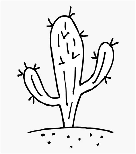 Outline Cactus Line Drawing Cactus Outline Drawing Set Featuring