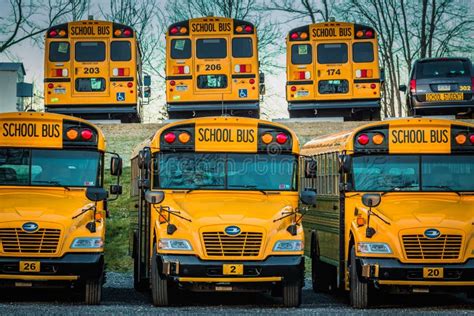 Opinión Inusual Parqueada De Los Autobuses Escolares Amarillos Foto De
