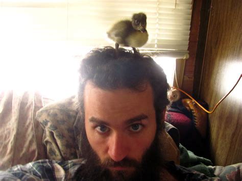 This Guy Raised A Duckling Under His Beard Grist