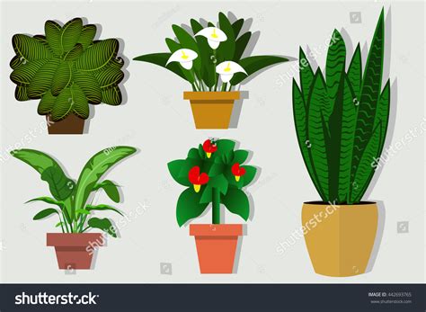 House Plants Flowers Pots Flat Style Stock Vector Royalty Free