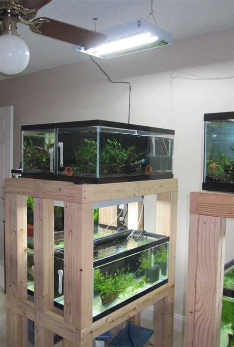 Diy Build An Aquarium Rack Aquarium Fish Aquarium Fishing Room