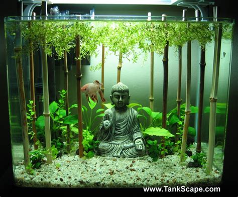 30 Fabulous Fish Tank And Aquarium Ideas