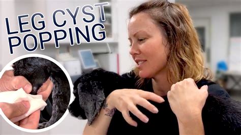Dog Cyst Treatment Archives Pimple Popping Videos