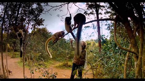 Island Of Lemurs Madagascar Imax Tv Spot Youtube