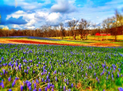 County materials' pavers with glow path technology™ illuminate new possibilities for outdoor design. Spring in Carroll County! - Westminster Lawn Landscape ...