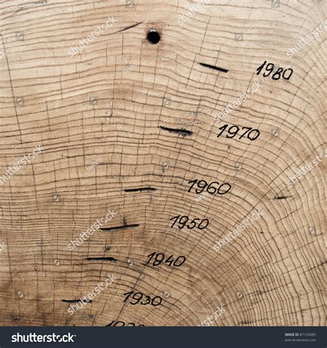 We found 3 dictionaries with english definitions that include the word annual growth ring: Tree Trunk, Cross Section Showing Annual Growth Rings ...