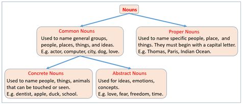 What is a noun and examples. Common Nouns (examples, solutions, videos)