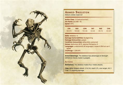 Skeleton 5e Guide Everything You Need To Know Explore Dnd