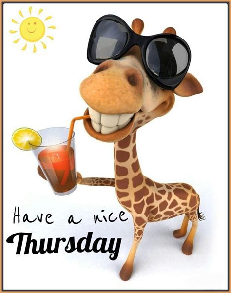 Thursday More Thursday Greetings Happy Thursday Quotes It S Thursday Thursday Humor Thankful