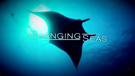 Changing Seas Series Promo Youtube