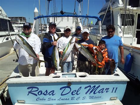 Hook Up Pesca Deportiva Y Torneos Blog Pesca Costera Mexico