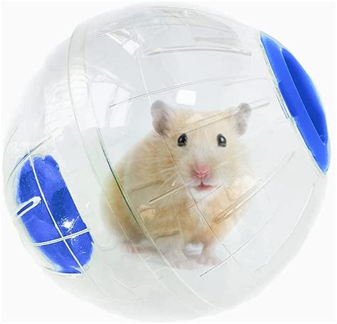 Hamster In Ball Ubicaciondepersonascdmxgobmx