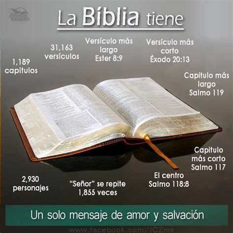 Cual Es El Libro Mas Corto De La Biblia Despo