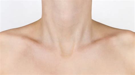 Graceful Forms Of The Girl Neck Shoulders And Collarbones Of A Young