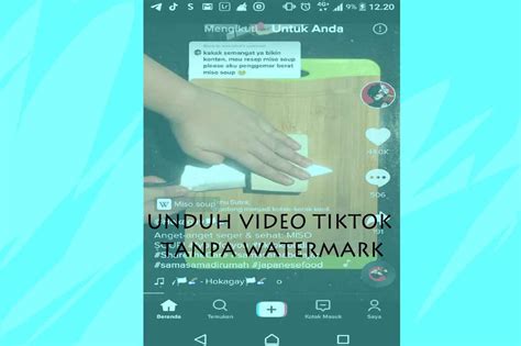Aplikasi Buat Unduh Video Tiktok Tanpa Watermark Manyasah Ilmu