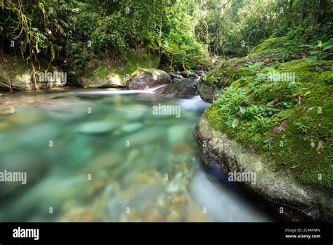 Hermoso Río Cristalino Con Aguas Azules En Verde Bosque Pluvial Paisaje
