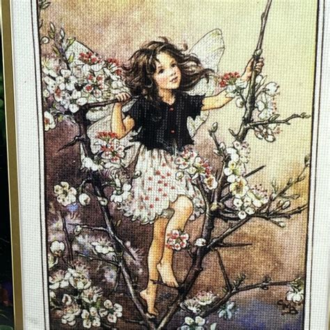 Other Vintage Flower Fairies Blackthorn Fairy By Cicely Mary Barker
