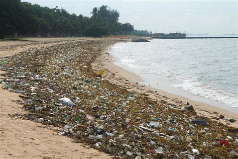 East Coast Park Beaches Lined With Piles Of Trash Brought In By