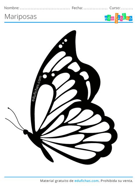 Dibujos De Mariposas Para Colorear Descargar Gratis Pdf Para Imprimir