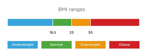 Understanding Your Measurements Tanita Europe Basal Metabolic Rate