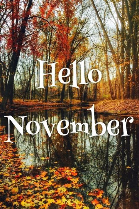 Hello November Hello November Welcome November November Wallpaper