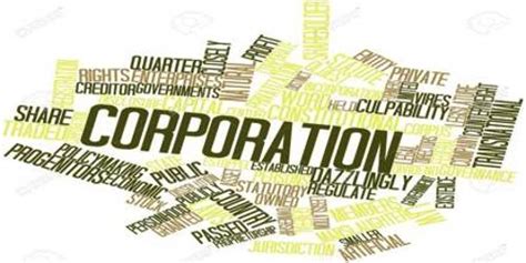 Definition Of Statutory Corporation Qs Study