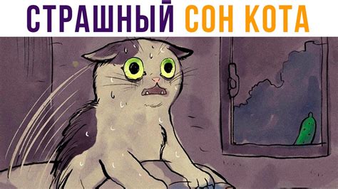 СТРАШНЫЙ СОН КОТА Приколы с котами Мемозг 550 YouTube