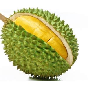 Durian, fruit king, durian fruit, cut durian png transparent image. Products - trlasia.com