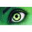 Green Eye Drawing Art  ID 71365