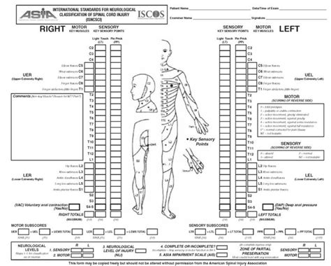 Classification Of Spinal Cord Injury