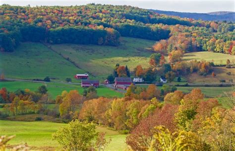 15 Charming Farms In Rural New York