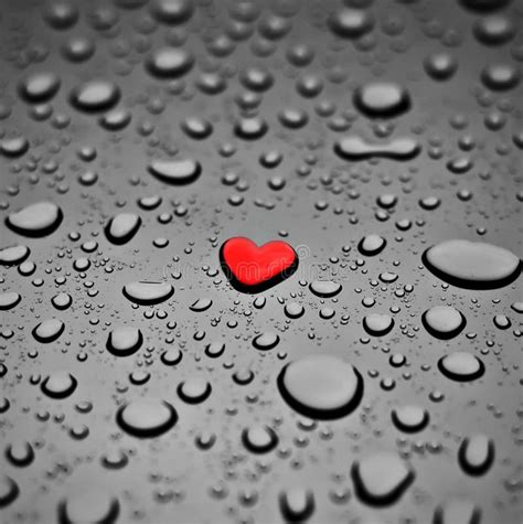 Heart As A Rain Drop Stock Photo Image Of Drops Drop 8183772