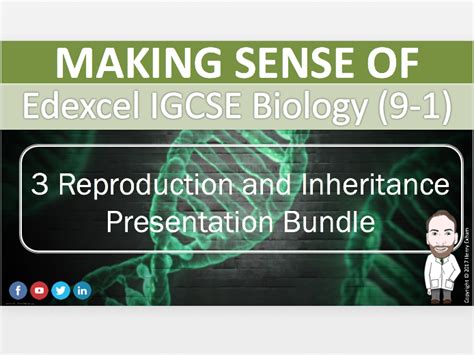 Section 3 Presentation Bundle Igcse Biology 9 1 Teaching Resources