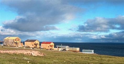 Sgl Naujat Repulse Bay Nunavut Canada Photos