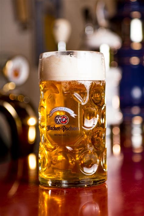 Пиво Hacker Pschorr Munich Gold купить в кегах в розницу